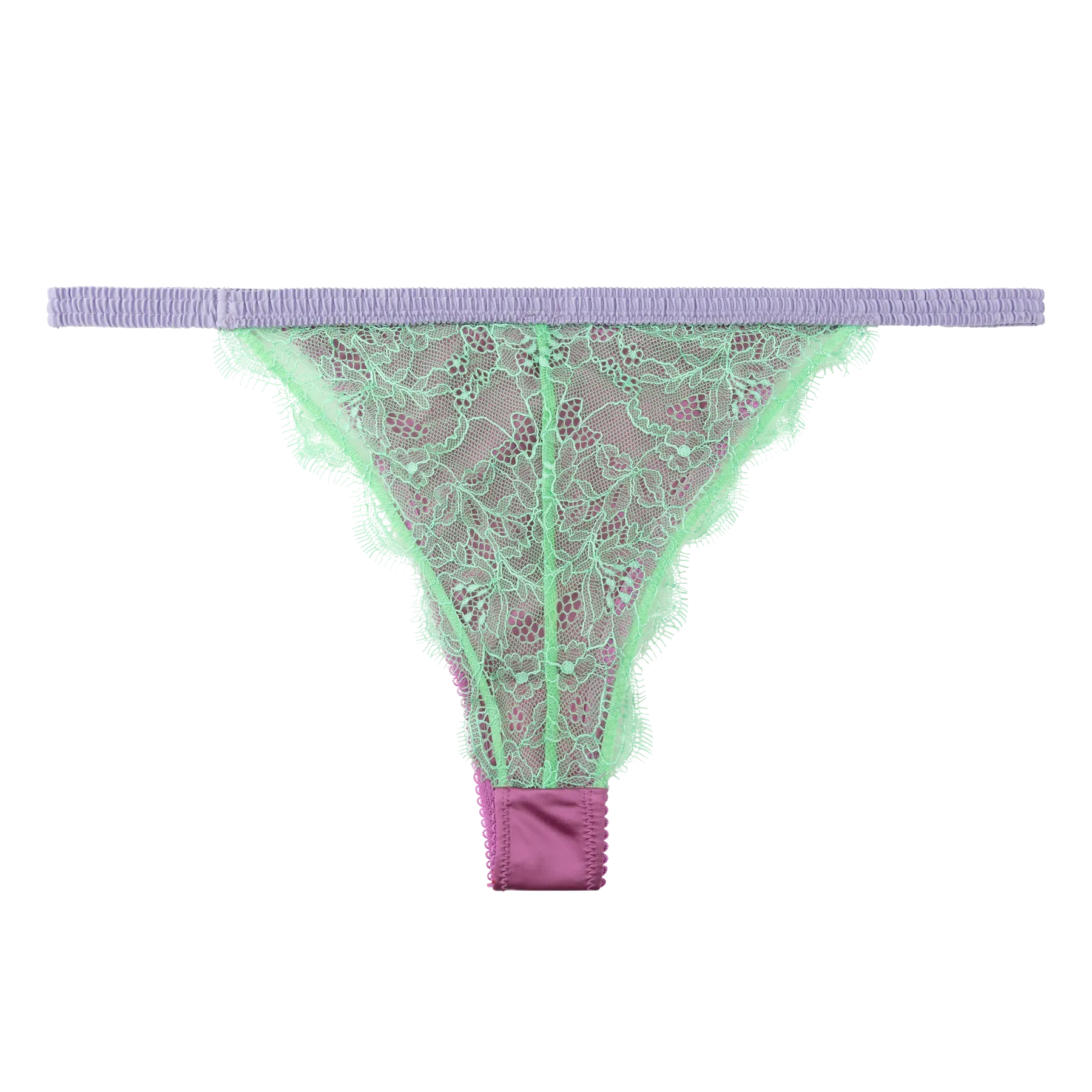 CHARLOTTE BRIEF | PURPLE