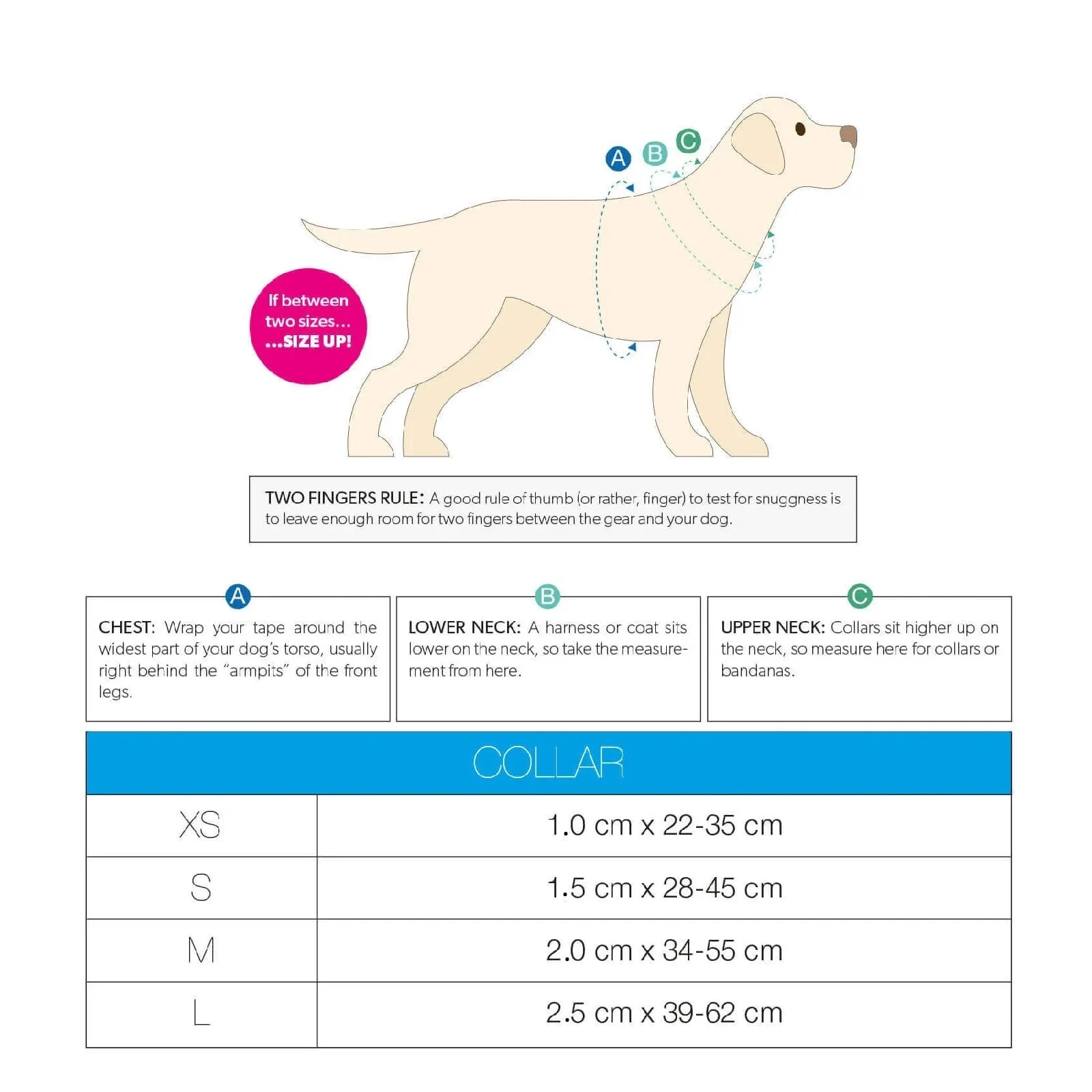 Max & Molly Monkey Maniac Smart ID Dog Collar Small