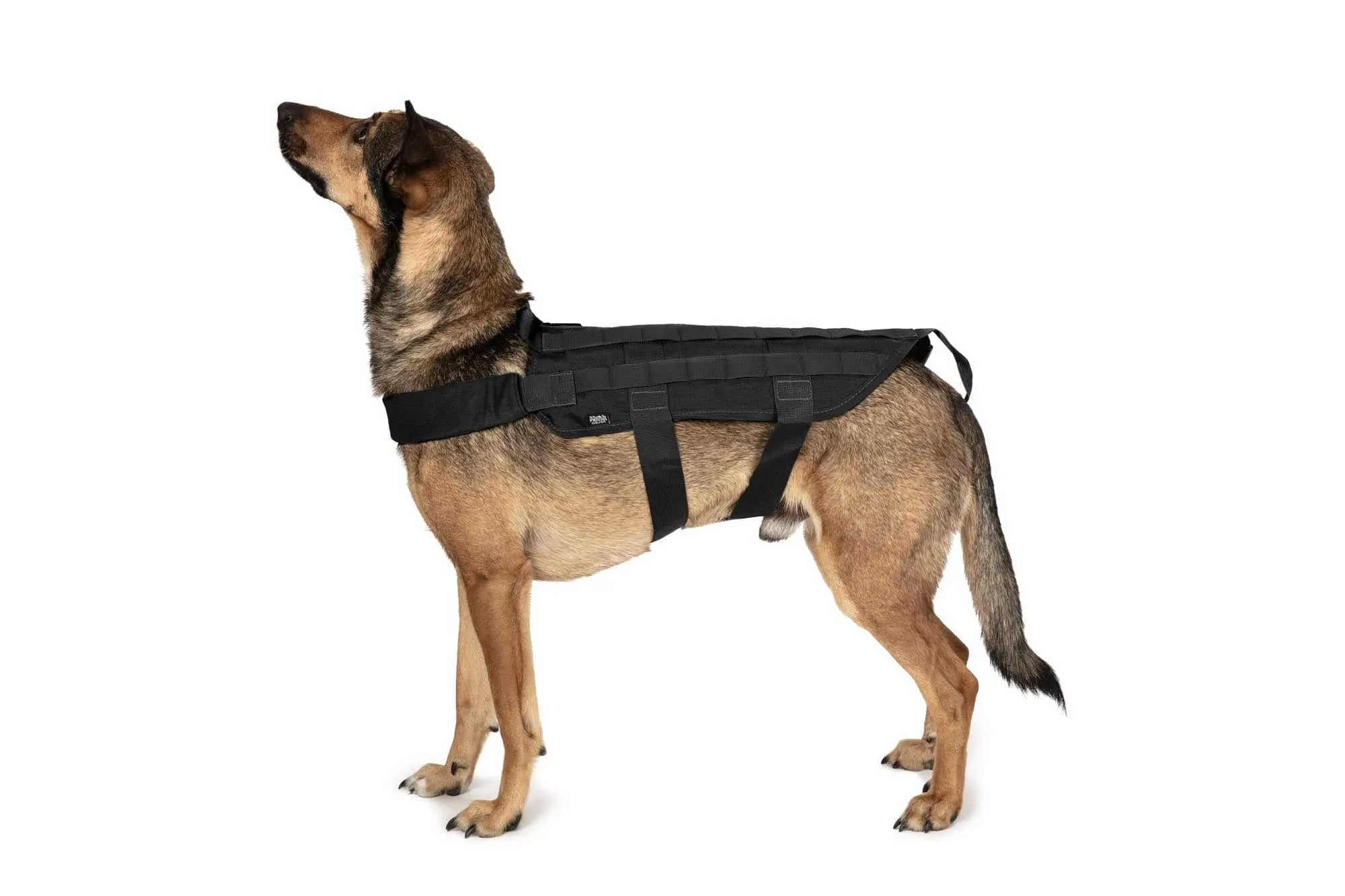 Tactical Dog Vest - Black